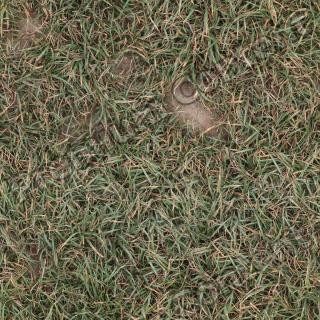 Seamless Grass 0013